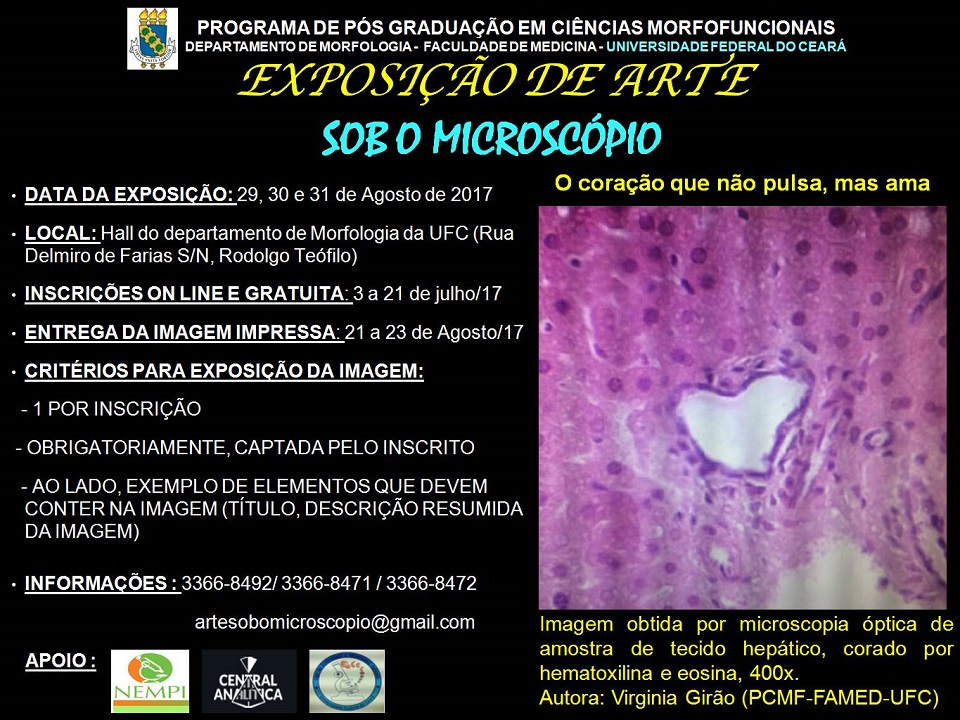 cartaz de divulgação da exposição sob o microscópio